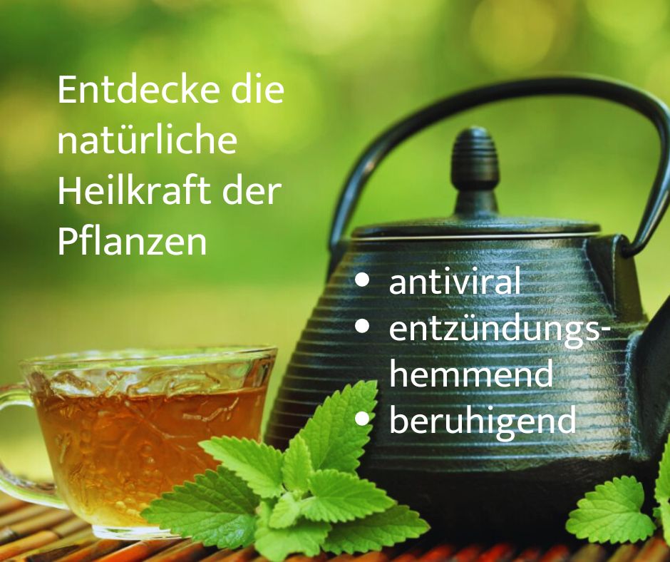 Bio Kräutertee für Schilddrüse & Immunsystem – Tee lose – Bild 3