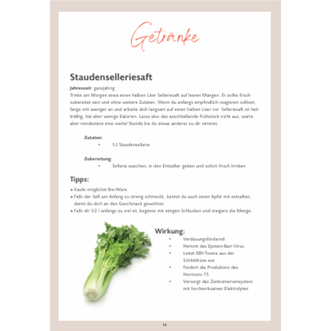 Buch Hashimoto Wohlfühlküche – 60 Rezepte für mehr Energie & Wohlbefinden bei Schilddrüsenerkrankungen – Bild 8